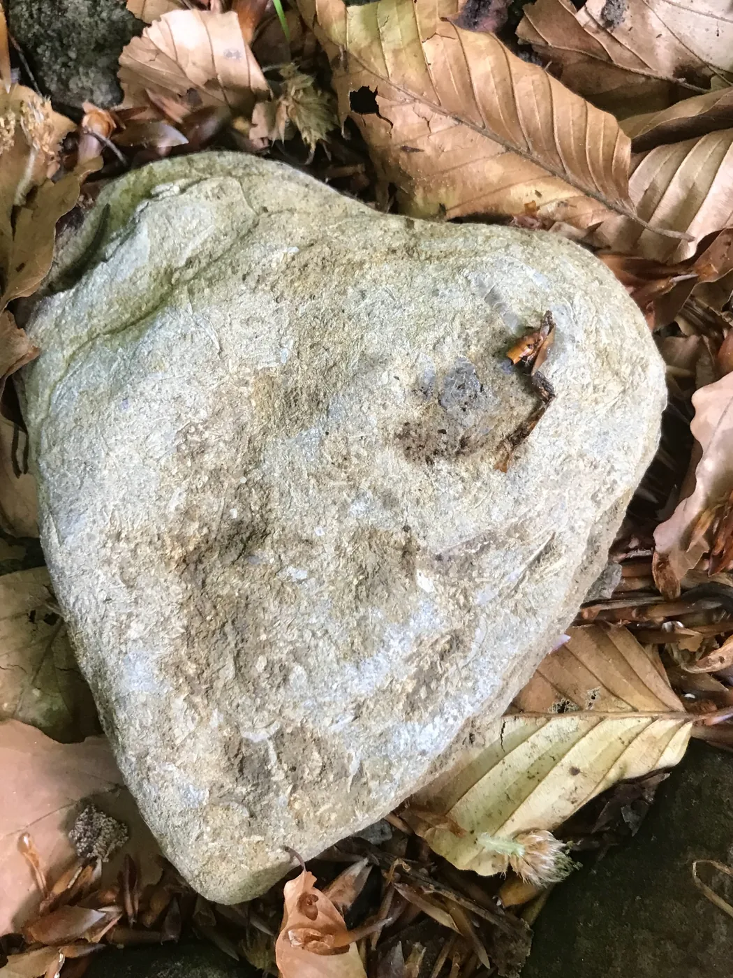 Herzförmiger Stein im Wald